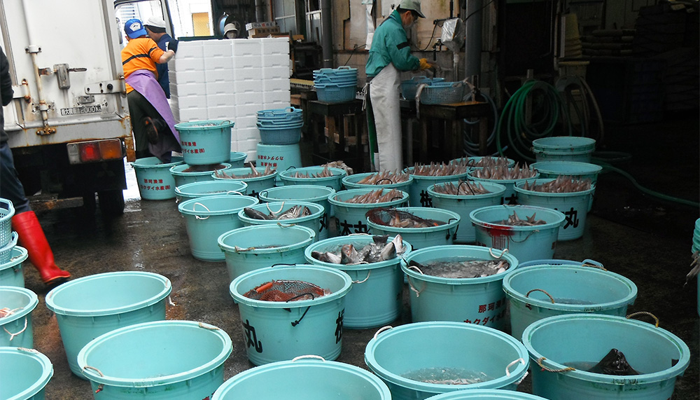 鮮魚出荷・冷凍保存　スマホ